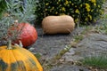 Rustic decorative gourd on stone footpath with yellow flower in background Royalty Free Stock Photo