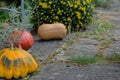 Rustic decorative gourd on stone footpath with yellow flower in background Royalty Free Stock Photo