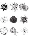 Rustic decorative plants and flowers collection. Hand drawn vector illustration poster template Royalty Free Stock Photo