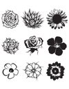 Rustic decorative plants and flowers collection. Hand drawn vector illustration poster template Royalty Free Stock Photo