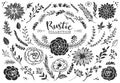 Rustic decorative plants and flowers collection. Hand drawn