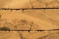 Rustic demolition wood section texture detail Royalty Free Stock Photo