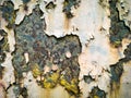 Rustic Dirty metal plate with stained paint. Royalty Free Stock Photo