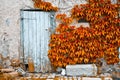 Rustic door Royalty Free Stock Photo