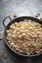 Rustic dried italian orecchiette pasta