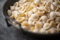 Rustic dried italian orecchiette pasta