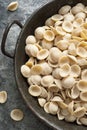 Rustic dried italian orecchiette pasta Royalty Free Stock Photo