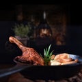 Rustic Duck Leg Royalty Free Stock Photo