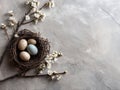 Rustic Easter egg nest Royalty Free Stock Photo