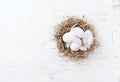 Rustic Easter Nest with White Eggs and feathers