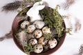 Rustic Easter, quail eggs in a ceramic bowl on the table. Royalty Free Stock Photo
