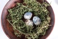 Rustic Easter, quail eggs in a ceramic bowl on the table. Royalty Free Stock Photo