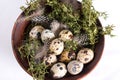Rustic Easter, quail eggs in a ceramic bowl on the table. Royalty Free Stock Photo
