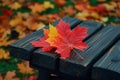 Rustic elegance captured as a maple leaf graces a wooden bench Royalty Free Stock Photo
