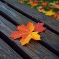 Rustic elegance captured as a maple leaf graces a wooden bench