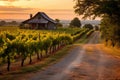 Rustic Elegance in the Vineyards.