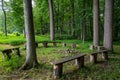 Rustic empty benches around an idyllic woodland fire pit Royalty Free Stock Photo