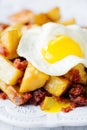 Rustic english corned beef hash breakfast Royalty Free Stock Photo