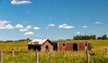 Rustic farm buildings in a field. Rockyview County, Alberta, Canada Royalty Free Stock Photo