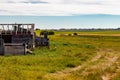 Rustic farm buildings in a field. Rockyview County, Alberta, Canada Royalty Free Stock Photo