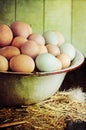 Rustic Farm Raised Eggs