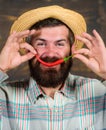 Rustic farmer in straw hat likes spicy taste. Man hold pepper harvest. Bearded farmer hold chilli red pepper in hand