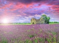 Rustic farmhouse with lavender field on sunset