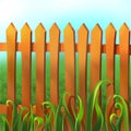 Rustic fence