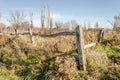 Rustic fence in the field Royalty Free Stock Photo