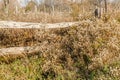 Rustic fence in the field Royalty Free Stock Photo