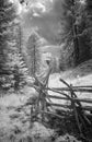 Rustic fence in forest in infrared