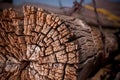 Rustic Fence Post With Barbed Wire Royalty Free Stock Photo