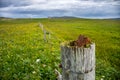 Rustic fence post in the machair field on Isle of North Uist, Outer Hebrides, Scotland Royalty Free Stock Photo