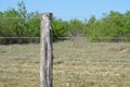 Rustic Fence Post Royalty Free Stock Photo