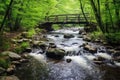 a rustic fishing bridge crossing a slow-moving stream