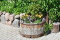 Rustic flower arrangement with wooden barrel. Vintage garden decor in country style