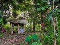 Rustic forest hut surrounded by lush tropical greenery Royalty Free Stock Photo