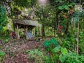 Rustic forest hut surrounded by lush tropical greenery Royalty Free Stock Photo