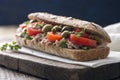 a rustic ftira maltese bread sandwich Royalty Free Stock Photo