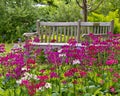 Rustic garden bench