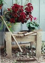 Rustic garden bench Royalty Free Stock Photo