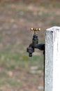 Rustic Garden Cold Water Tap Royalty Free Stock Photo