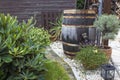 Rustic garden - green plants and rain barrel