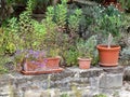 Rustic garden wall with terracotta pots Royalty Free Stock Photo