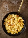 Rustic golden german pan fried potato bratkartofflen