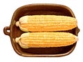 Rustic golden raw uncooked corncob