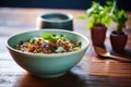 rustic granola bowl presentation with a sprig of mint
