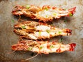 Rustic grilled jumbo prawn