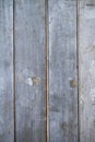 Rustic grungy paling fence Royalty Free Stock Photo