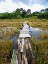 Rustic, half broken wooden bridge over a marsh near the source of Rio Vermelho Red river in Florianopolis, Brazil